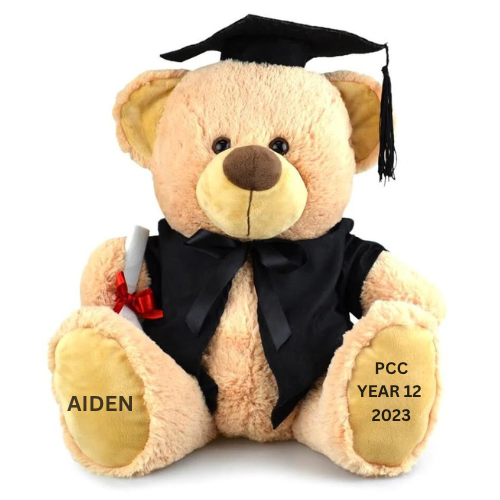 Graduation Teddy